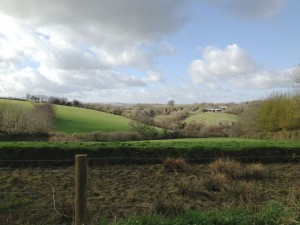A view from the road through Exmoor.