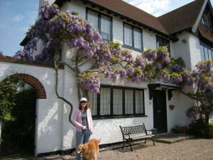 My last dog and me, outside a friend's house which is covered with my favourite flower